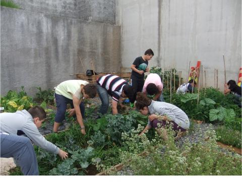 Os alunos a efetuarem a manutenção da horta